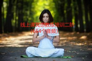 线上课冥想教练培训二阶（664个音频）