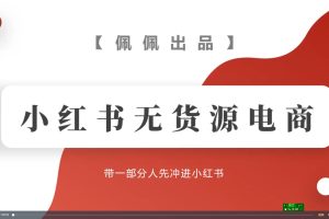 小红书无货源项目：从0-1从开店到爆单 单店30万销售额 利润50%