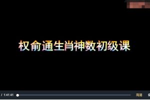 权俞通生肖神数特训营十六期 8集