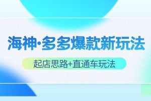 海神·多多爆款新玩法，​起店思路+直通车玩法（3节精华课）