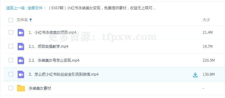 小红书泳装美女变现，免费提供素材，收益无上限可矩阵插图3