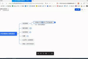 小红书泳装美女变现，免费提供素材，收益无上限可矩阵