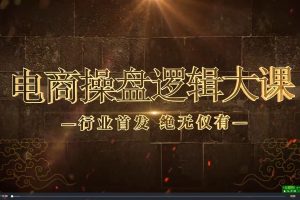 大圣电商操盘逻辑大课