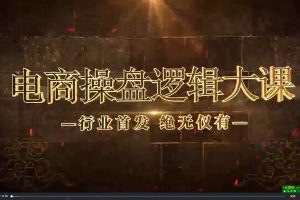 大圣淘宝天猫电商1-7层级盈利增长底层逻辑课，爆款的底层逻辑