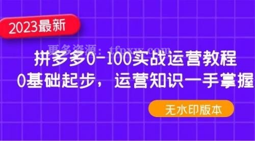 2023拼多多0-100实战运营教程，0基础起步，运营知识一手掌握插图