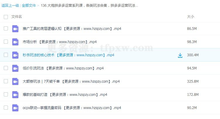 大炮拼多多运营系列课，各类​玩法合集，拼多多运营玩法实操插图