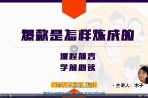 【小镇做号家】个人IP起号教程