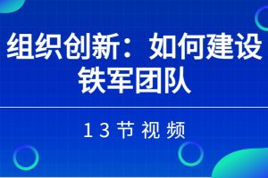 组织创新：如何建设铁军团队（13节视频）