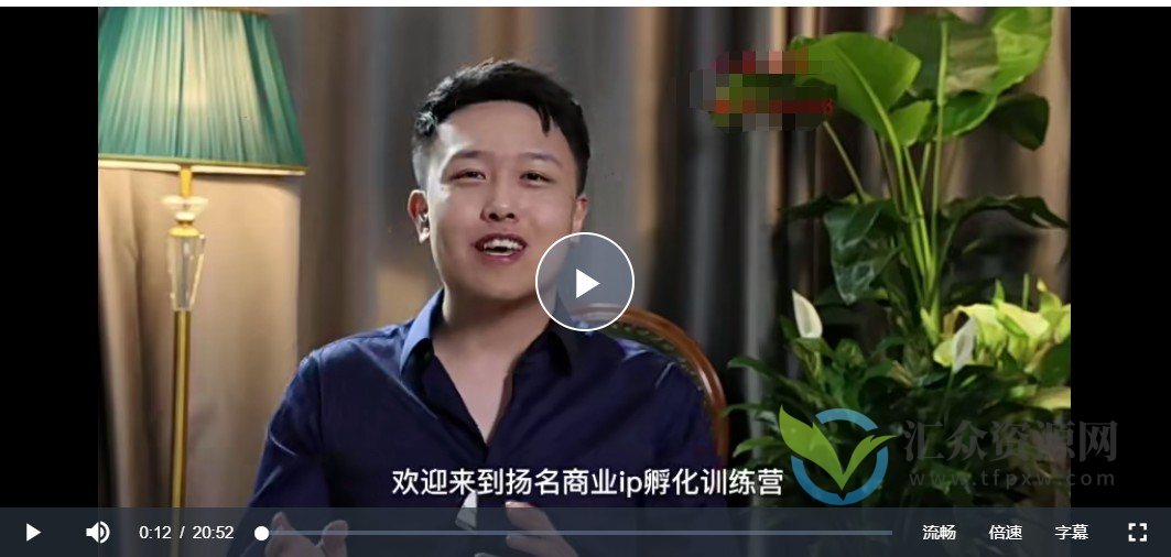 王扬名-商业IP训练营29集插图1