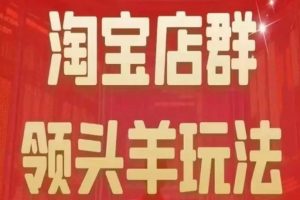 淘宝店群领头羊玩法，教你整个淘宝店群领头羊玩法以及精细化终极蓝海尾销等内容