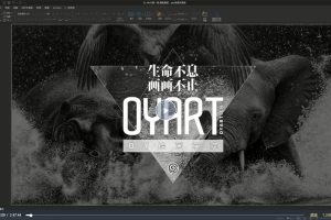 欧阳鹏杰2023版画风格商业课程0基础手绘插画课