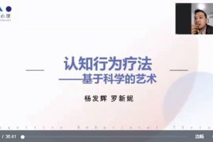 杨发辉•认知行为治疗系统培训项目