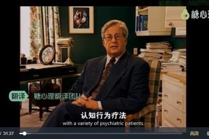 心理障碍的评估与治疗：8位宗师×8种流派视角