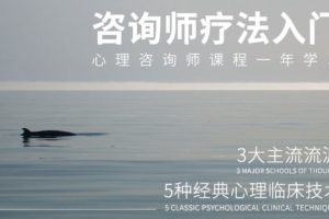 心理咨询技术与疗法入门