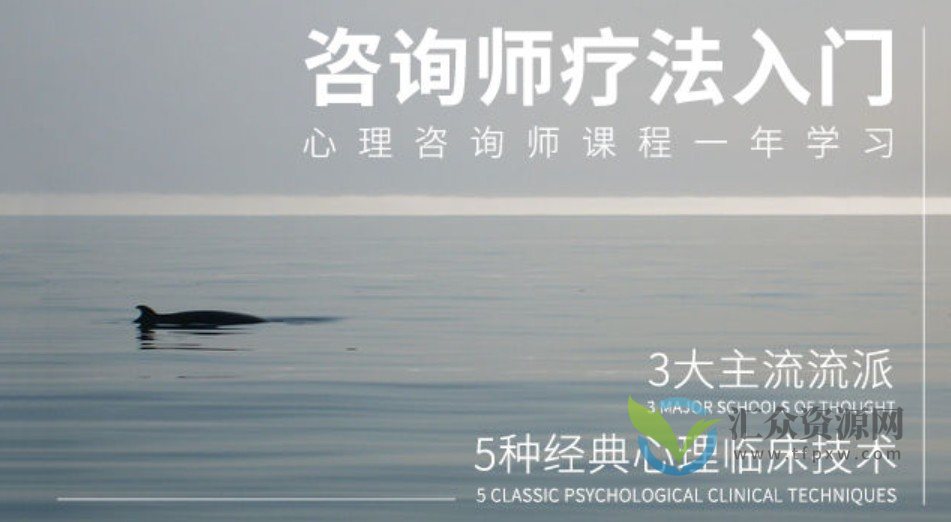 心理咨询技术与疗法入门插图