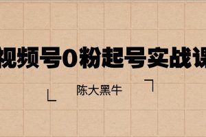 陈大黑牛视频号0粉起号实战课