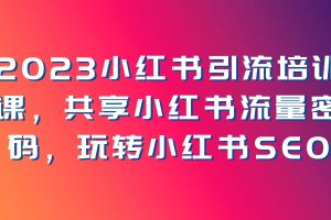 2023小红书引流培训课程，共享小红书流量密码，小白逆袭百万大咖，玩转小红书SEO