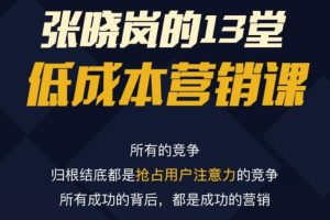 张晓岚-13堂低成本营销课（视频课）