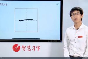 王慧志硬笔书法私房课程 28+72节视频教程