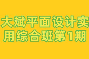 大斌平面设计实用综合班第1期