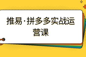 推易·8月底拼多多实战运营课