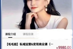 海毛毛姐22年7月 私域运营变现商业课4节9980