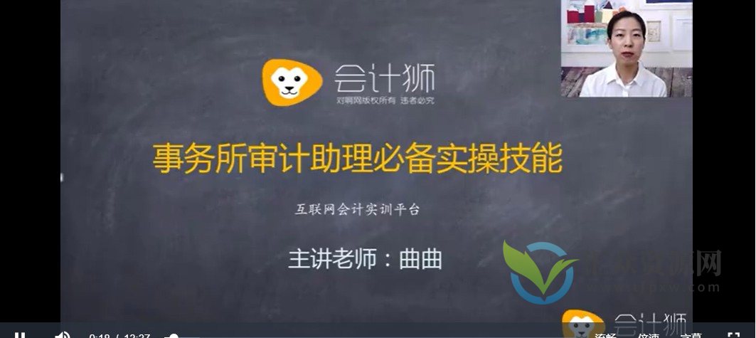 四大审计经理讲审计助理实操（视频课）插图