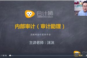 企业内审审计助理必修课（视频）