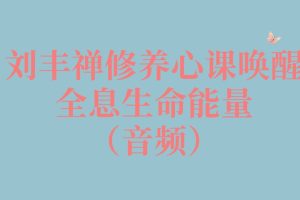 刘丰禅修养心课唤醒全息生命能量（音频）