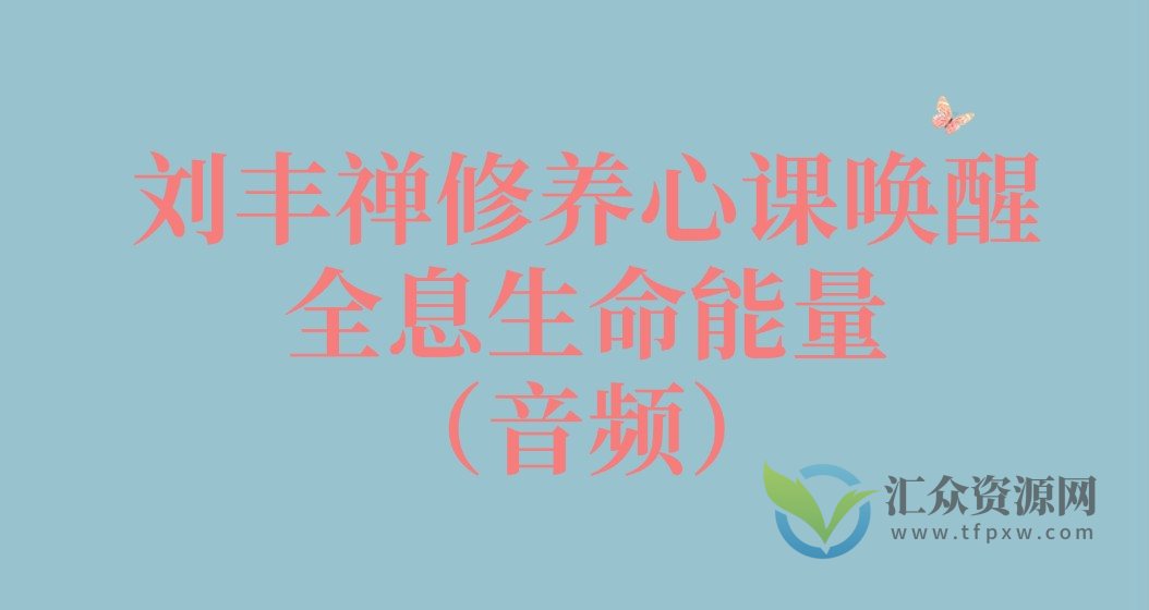 刘丰禅修养心课唤醒全息生命能量（音频）插图