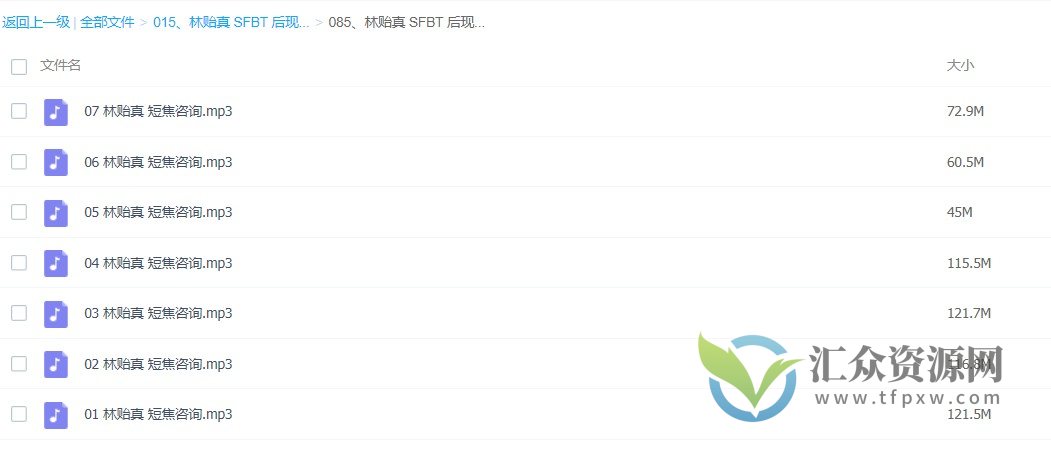 林贻真 后现代短期焦点咨询技术 现场课程录音插图