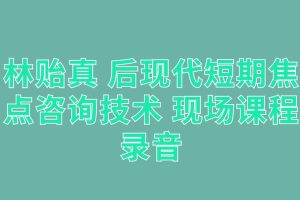 林贻真 后现代短期焦点咨询技术 现场课程录音