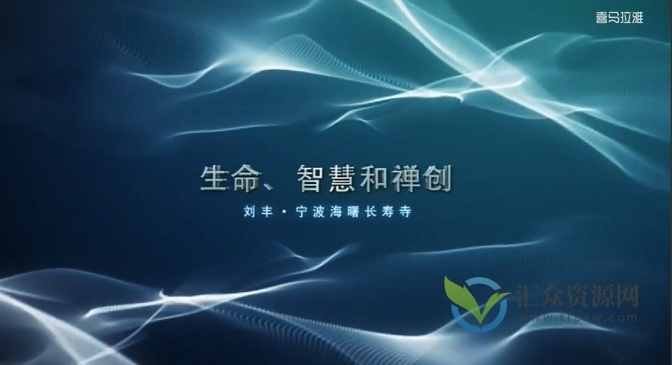 刘丰生命-智慧-禅创（视频1集）插图