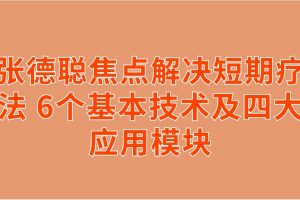 张德聪焦点解决短期疗法 6个基本技术及四大应用模块