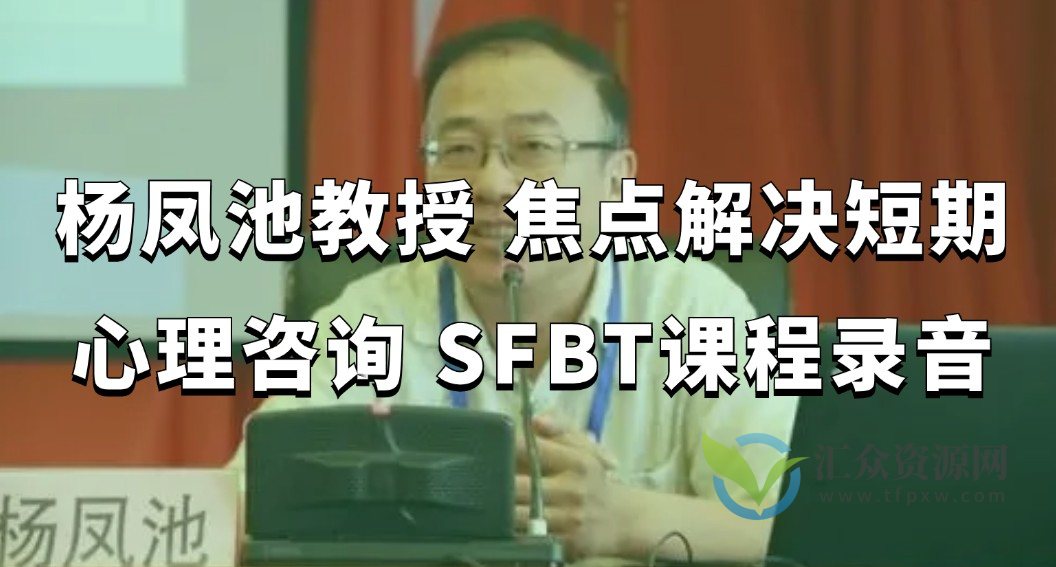 杨凤池教授 焦点解决短期心理咨询 SFBT课程录音插图
