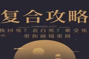 高阶聊天思维《复合攻略》+老白《约会高手》