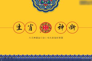 司天喜 生肖神断精华班 17集