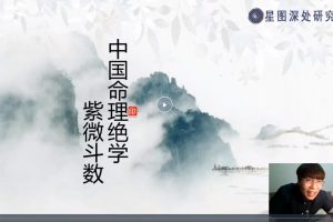 陈小飞钦天门紫微斗数进阶27集