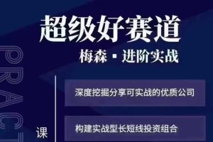 梅森投研 2024年1月-6月梅森投研·超级好赛道进阶实战（视频＋文字）