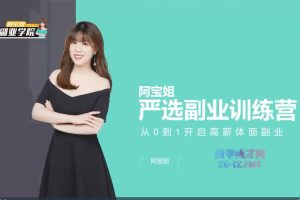 【阿宝姐副业学院】阿宝姐 严选副业训练营