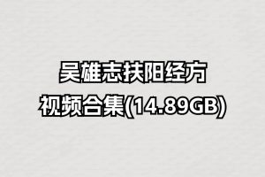 吴雄志扶阳经方视频合集(14.89GB)