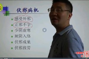 吴雄志温病伏邪研究新(56.63GB)