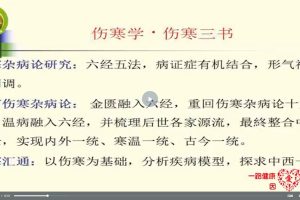 吴雄志五法六经论伤寒讲课视频全集34课(6.40GB)