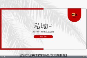 比高私域IP流量变现视频课
