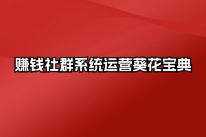 赚钱社群系统运营葵花宝典