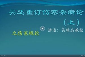 吴雄志伤寒杂病论