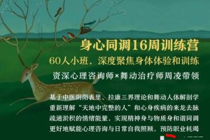 周凌：身心同调16周训练营丨60人小班，深度聚焦身体体验和训练