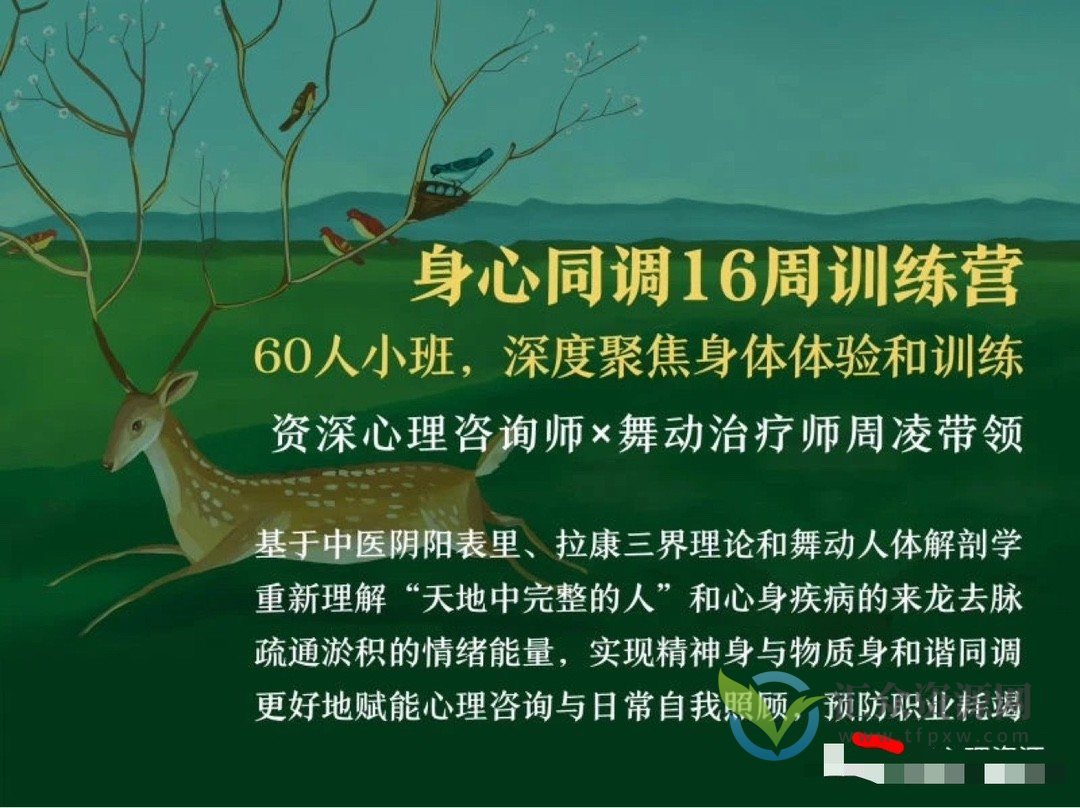 周凌：身心同调16周训练营丨60人小班，深度聚焦身体体验和训练插图