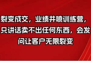 裂变成交，业绩井喷训练营，只讲话卖不出任何东西，会发问让客户无限裂变