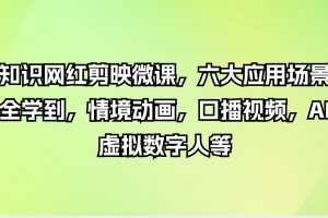 知识网红剪映微课，六大应用场景全学到，情境动画，口播视频，AI虚拟数字人等产